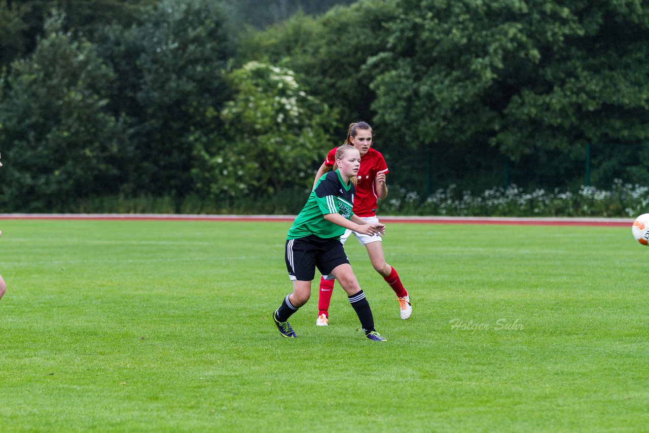 Bild 68 - C-Juniorinnen Landesmeister Finale SV Wahlstedt - TuRa Meldorf : Ergebnis: 1:4